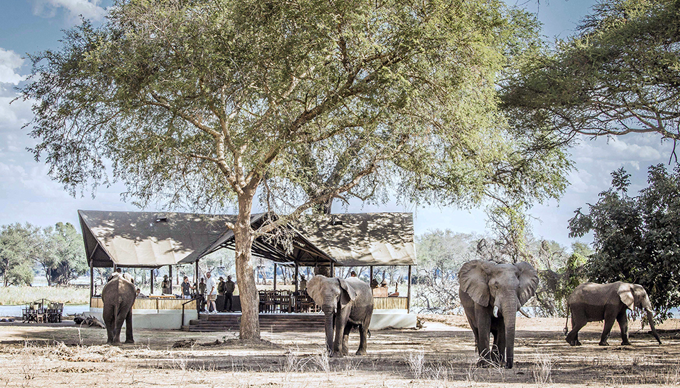 mobile safari zambia