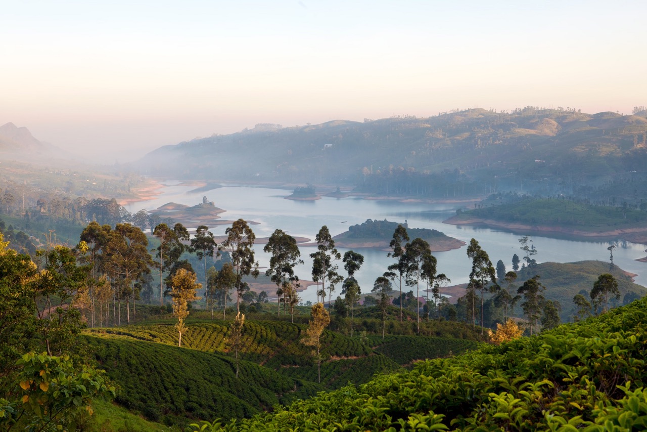 Ceylon Tea Trails